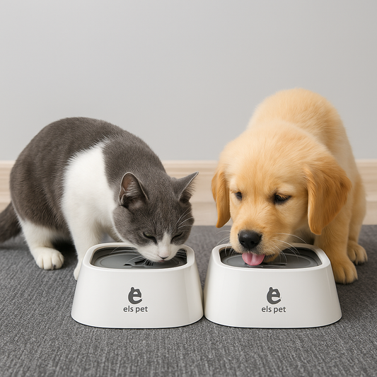 ZeroSplash Pet Bowl
